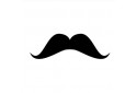 Bigote